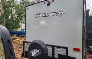 Alpha Wolf