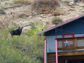 CanyonSide Campground