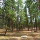 Mather campground staff working to open campground for the season.