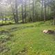 Wooded tent campsite with small fire ring and grassy floor — representative tent-site view from the gallery showing the wooded camping areas.