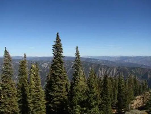 01, Loop: DEADWOOD LOOKOUT REC CABIN