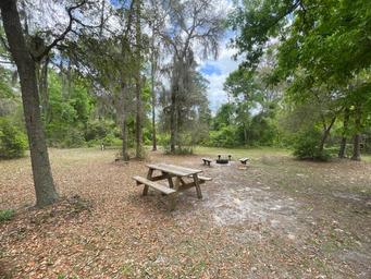 Campground image 2