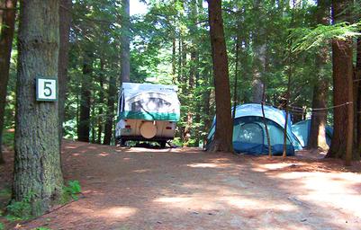 Close view of a numbered tent/RV campsite (site #5) among trees, demonstrating individual campsite layout and setting on the property.