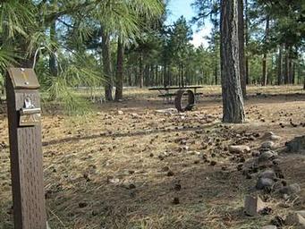 BLACK CANYON RIM CAMPGROUND