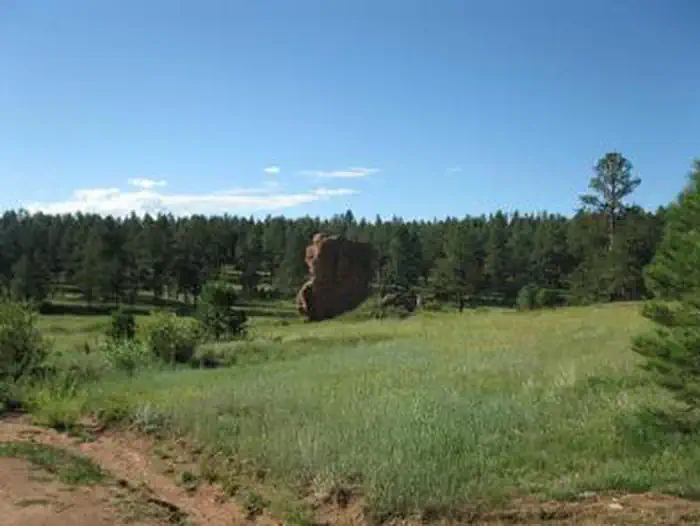 Painted Rocks