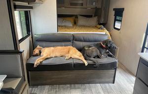Northy the Heartland Trailer - Pup Friendly! 2021