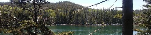Duck Harbor Campground