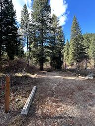 Hayfork Group Cg