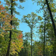 Campspot slideshow image 3
