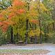 Lithia Springs Campground Fall Colors