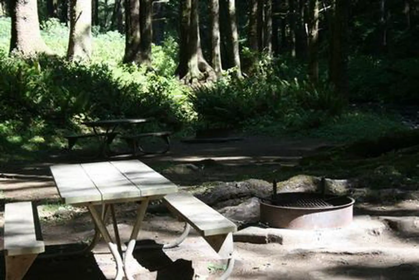 Rock Creek Oregon Coast (Siuslaw National Forest, OR)