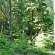 North Fork Elk Group Camp