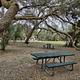 Picnic area  away from spring