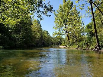 Cedar Grove