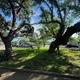 A park with a lot of trees and picnic tables