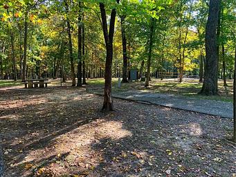 Shagbark Group Area Campsite and View of Volleyball Area