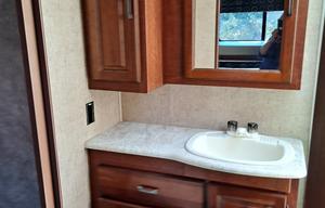 2017 Forest River RV Sunseeker 3170DS Ford