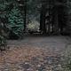 LIMBERLOST CAMPGROUND