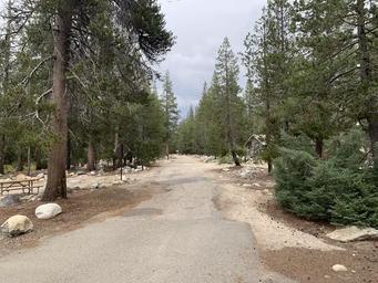 Yosemite Creek Campground