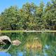Drummer Boy Campground