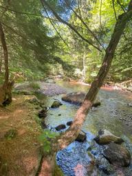 Campspot slideshow image 2
