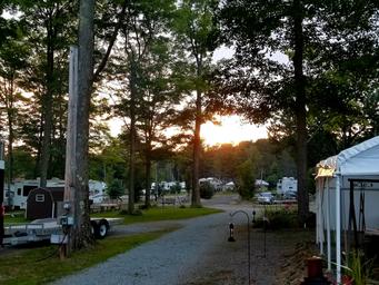 Wide view along a gravel campground lane showing RVs, seasonal sites, utility hookups and trees — good overview of site layout. Image appears on the Yearly Rentals / Yearly Sites page (yearly-sites.html), indicating it depicts the campground grounds.