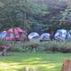 Tent Sites