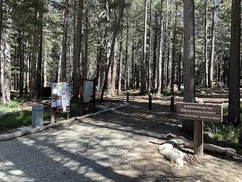 Entrance to Backpackers Camp.