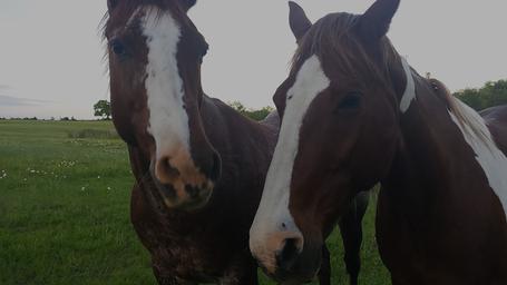 Prairie Lakes Ranch