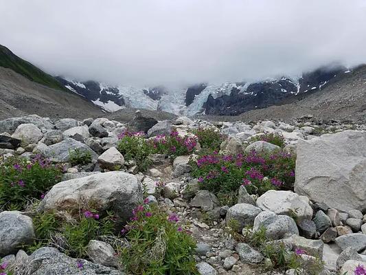 J01, Loop: AREA LAUGHTON GLACIER CABIN