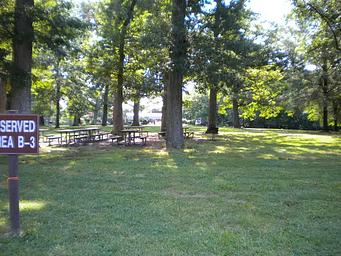 Picnic Area B3, showing the tables among the trees for shade