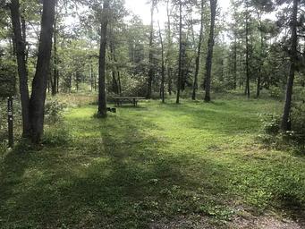 South Branch Trail Camp Group Site