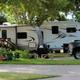 Wide panoramic view of several RVs parked beneath trees along sites — useful overview of typical RV pitches and tree cover (from site gallery/homepage).