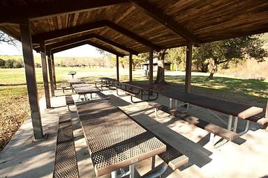 Willow Field Group picnic #5
