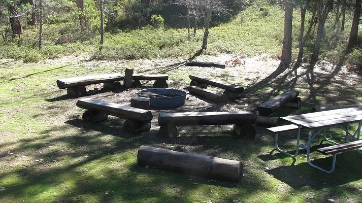 PGS, Loop: AREA PINES GROUP/STANISLAUS