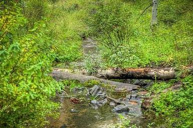 COLD SPRINGS CAMPGROUND (OR)