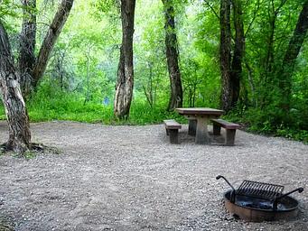 Campsite in Leigh Creek Campground surrounded by trees