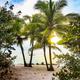 Clear photo of a sandy shoreline framed by palm trees and low vegetation — useful scenic image showing the nearby beach setting. Appears on the property homepage, supporting relevance to Periwinkle Park on Sanibel Island.