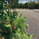 Briar Oaks RV Park