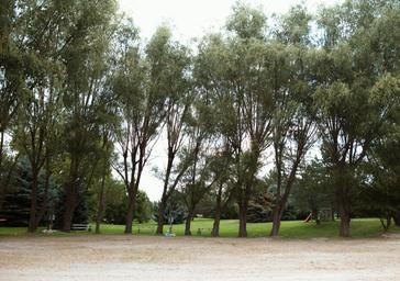 Tonasket RV Sites