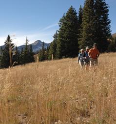 Avalanche Ranch