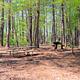 Galt's Ferry Picnic Area Near Bathroom