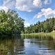Kayaking down river surrounded by green trees