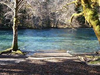 Mckenzie Bridge