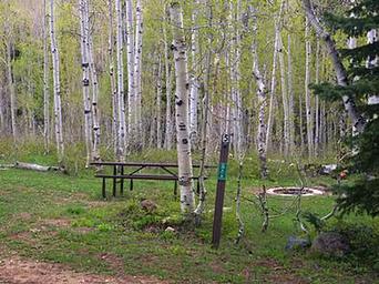 DEER HAVEN