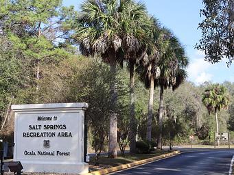 Welcome to Salt Springs - Entry