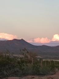 Arrey of Sunshine RV Park