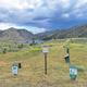 Dog off leash area