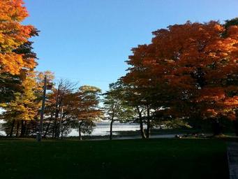 Campground image 3