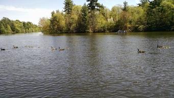 Twin Springs Campground